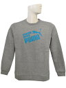 (プーマ) PUMA/裏起毛スウェットシャツ/グレーXターコイズ/FK1615-05/簡易配送(CARDのみ送料注文後変更/1点限/保障無)