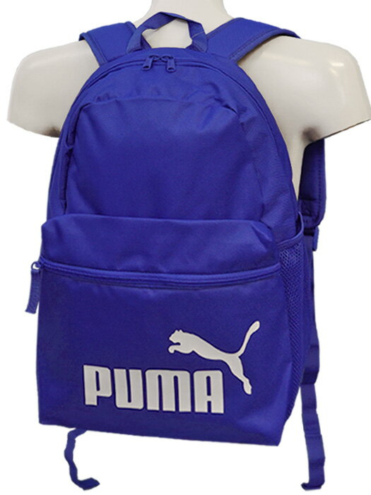 (v[}) PUMA/tFCY obNpbN/CTt@CA/075487-27