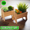 お部屋のインテリアにも使いやすい 木製ミニプランターカバー4個組 インテリア ガーデニング 雑貨 ラック フラワースタンド プランターラック フラワーラック ガーデンラック