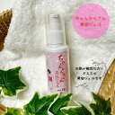 【 直営店 】ねば塾 美容 ジェル 保湿 贅沢 自然派 やさしい 植物性 動物性フリー スキンケア 肌荒れ いちご鼻 綺麗 美容 ちゃんからさん 天然成分 ヨモギ ハス花 月桃 美容ジェル80mL