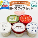 選べるお試し6個入り!搾りたての生乳を使用したアイス 信州根羽村産アイス詰め合わせ 冷凍 スイーツ いちご 抹茶 牛乳 ミルク りんご バニラ 贈り物 内祝い ...