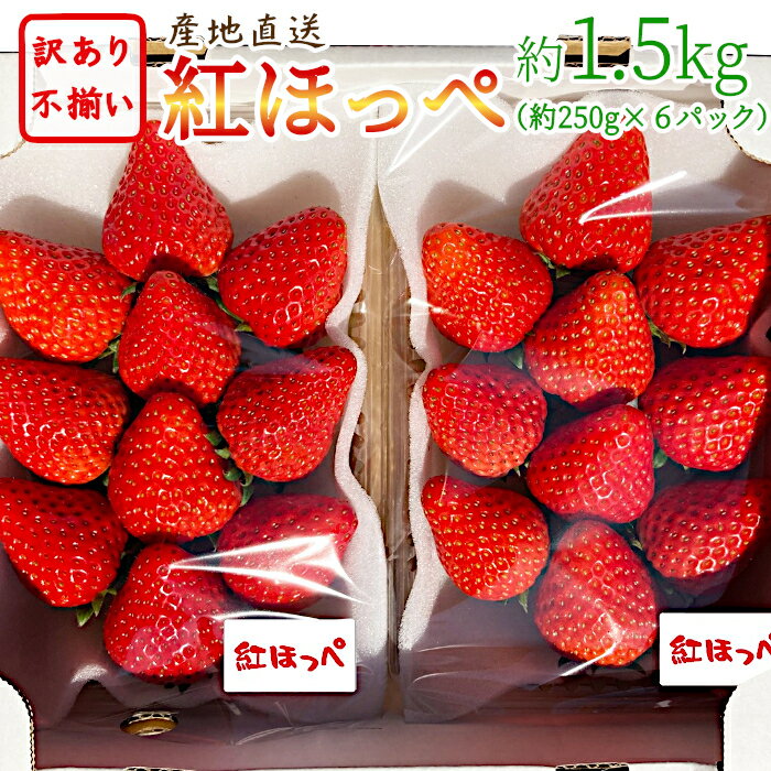 小さいいちご|小粒でも美味しい!甘くて人気の小さめ苺の通販おすすめ