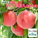 山梨県産 桃 もも アルプス美人 11〜15玉 約5kg モモ 白桃 あかつき 産地直送 果物 くだもの フルーツ お取り寄せグルメ 食品 新鮮 旬 農家 直送...