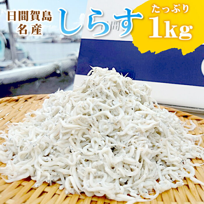 日間賀島産 しらす専門店のしらす 1kg ふんわり やわらか シラス しらす干し ご飯のお供 しらす丼 サラダ おつまみ 酒の肴 海鮮 国産 愛知県産 島しらす お取り寄せグルメ 送料無料 ギフト お買い物マラソン マラソン ：i04