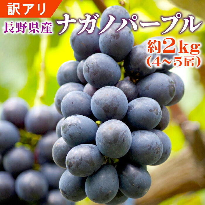 ★ポイント3倍！お買い物マラソン限定！★訳あり！ナガノパープル 約2kg (4〜5房入り) 長野県産 ぶどう 葡萄 ブドウ 訳有 訳アリ 果物 フルーツ 種なし 産地直送 旬の果物 国産：c22のサムネイル