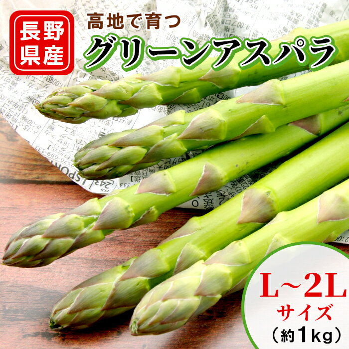 高地で育つ グリーンアスパラ 約1kg 長野県産 L～2Lサイズ無選別 春野菜 春アスパラ アスパラ アスパラガス 緑アスパラ グリーンアスパラ 太い 産地直送 農家直送 野菜 春 旬 無選別 長野県 お取り寄せ お買い物マラソン マラソン ：c136