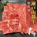 【送料無料】国産牛 瀬戸山麓牛 カタロース リブロース 焼肉用 1kg 焼肉 贈答 ギフト プレゼント お肉 お祝い お中元 贈り物 送料無料 母の日 お買い物マラソン マラソン ：s05