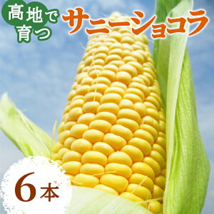 ★ポイント5倍！楽天スーパーSALE限定！★生で食べられる 高原とうもろこし サニーショコラ 6本入り 朝採 産地直送 産直 お試し 食べきり 長野県産 朝穫れ 新鮮 とうもろこし 野菜 フルーツコーン スイートコーン 贈答 お取り寄せ：c10