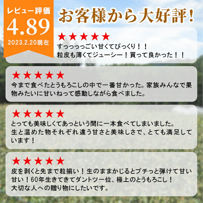 【最大500円OFF！お買い物マラソン限定】【予約商品】R8年産 とうもろこし サニー...