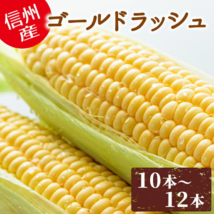 朝採れ 産地直送 ゴールドラッシュ ( 10〜12本入り ) 長野県産 とうもろこし 新鮮 朝採 産直 甘い 美味しい 新鮮 野菜 トウモロコシ スイートコーン コーン 農家直送 ご当地 特産 お取り寄せ：c17