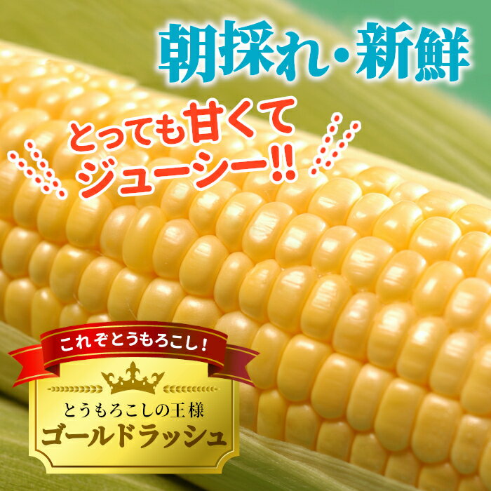 【最大500円OFF！お買い物マラソン限定】【予約商品】R8年産 とうもろこし ゴール...