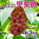 【タイムセール7月15日23:59まで100円引き】 赤いマスカットと呼ばれる 甲斐路 約3kg (6~7房入り) 山梨県産 ぶどう 赤色ぶどう 葡萄 グレープ 果物 くだもの フルーツ 産地直送 旬の果物 送料無料 ギフト 贈り物:c139