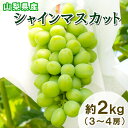 【タイムセール7月15日23:59まで100円引き】 山梨県産 シャインマスカット 約2kg (3~4房入り) 種なし ぶどう マスカット 葡萄 グレープ 果物 くだもの 種無し フルーツ 産地直送 旬の果物 送料無料 ギフト 贈り物:c140