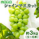 【タイムセール7月15日23:59まで100円引き】 山梨県産 シャインマスカット 約3kg (5~6房入り) 種なし ぶどう マスカット 葡萄 グレープ 果物 くだもの 種無し フルーツ 産地直送 旬の果物 送料無料 ギフト 贈り物:c141