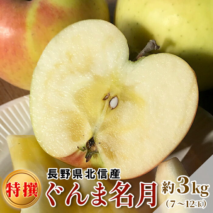 長野県より産地直送！特選 ぐんま名月 約3kg 7～12玉入り 長野県産 北信産 信州 中野 りんご 黄りんご アップル 林檎 リンゴ 希少品種 産地直送 産直 フルーツ 旬の果物 くだもの 大容量 贈答用 秀品 ギフト 甘い ジューシー 果実 新鮮 お取り寄せ ：c150