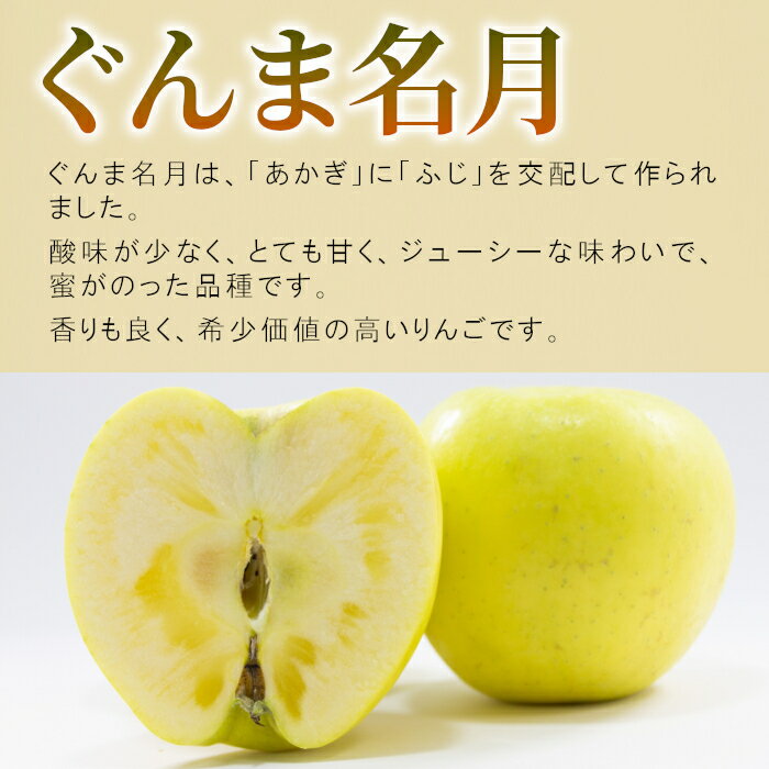 長野県より産地直送！特選 ぐんま名月 約3kg 7～12玉入り 長野県産 北信産 信州 中野 りんご 黄りんご アップル 林檎 リンゴ 希少品種 産地直送 産直 フルーツ 旬の果物 くだもの 大容量 贈答用 秀品 ギフト 甘い ジューシー 果実 新鮮 お取り寄せ ：c150