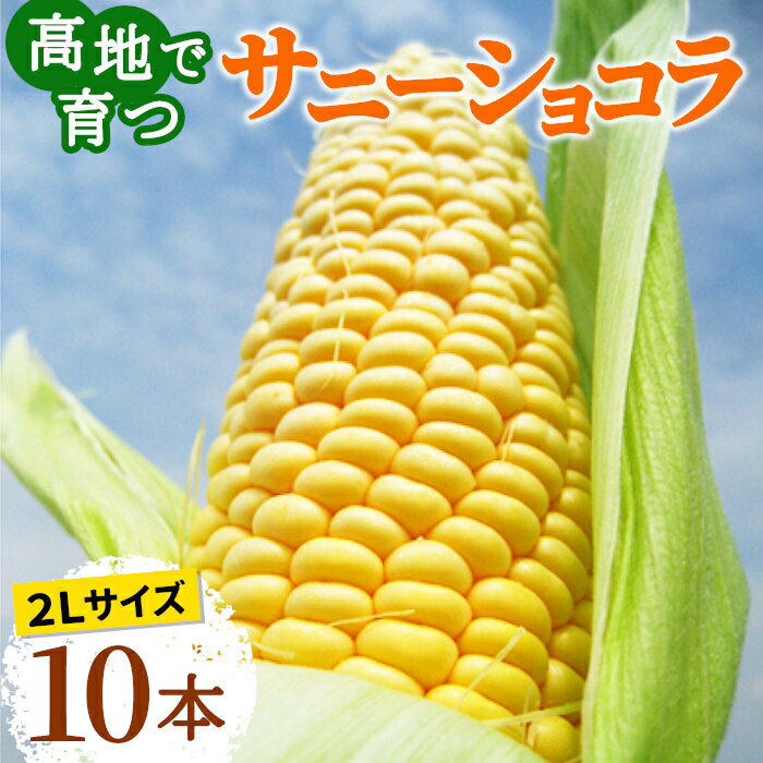 【ふるさと納税】とうもろこしサイズ2L 約22本 約10kg、発泡氷詰め ※8月下旬より順次出荷 とうもろこし 季節野菜 トウモロコシ 旬 夏 とうきび 野菜 先行予約　【野菜・とうもろこし】　お届け：2024年8月21日～9月2日まで