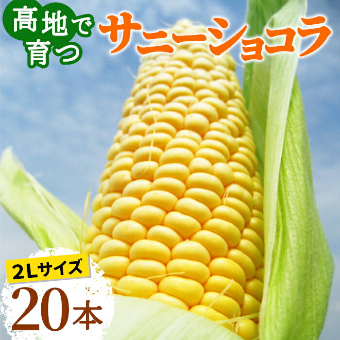 全国お取り寄せグルメ食品ランキング[とうもろこし(31～60位)]第35位