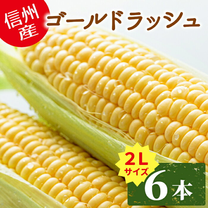 朝穫れ 産地直送 ゴールドラッシュ 2Lサイズ お試し6本入り 長野県産 農家直送 食べきり 朝採 産直 新鮮 野菜 甘い …