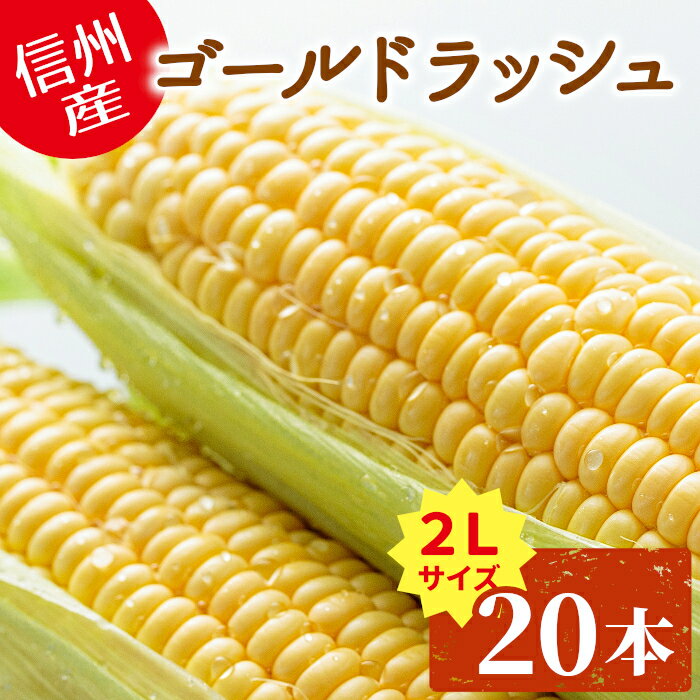 朝採れ 産地直送 ゴールドラッシュ 2Lサイズ 20本入り(10本×2箱) 長野県産 とうもろこし 新鮮 朝採 産直 甘い 美味し…