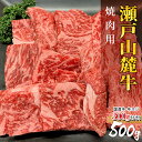【送料無料】今だけ 国産牛スジ付き★瀬戸山麓牛 カタロース リブロース 焼肉用 500g 焼肉 贈答 ギフト プレゼント お祝い 贈り物 誕生日 肉 お肉 牛肉 牛スジ 敬老の日:s04