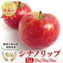 りんご リアルタイムランキング1位獲得！ 秀品 シナノリップ 選べる内容量 約2kg 約3kg 約5kg りんご リンゴ 林檎 長野県産 豊丘村 新品種 産地直送 夏りんご フルーツ 果物 旬の果物：c104