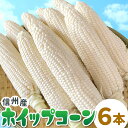 【2025年先行受付】 生で食べれる! ホイップコーン 6本入り 高原とうもろこし 朝採 産地直送 新鮮 フルーツコーン スイートコーン ホワイトコーン 白いと...