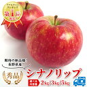 リアルタイムランキング1位獲得! 秀品 シナノリップ 選べる内容量 約2kg 約3kg 約5kg りんご リンゴ 林檎 長野県産 豊丘村 新品種 産地直送 夏りんご フルーツ 果物 旬の果物 お中元 残暑見舞い 敬老の日 :c104(4)