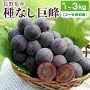 ぶどう 巨峰 種なし 約1~3kg (2~6房前後) 巨峰 長野県 長野市 豊野町産 産地直送 種無し果物 フルーツ 旬の果物 信州中野 ギフト 贈り物 贈答用 内容量 選べる お試し 大容量 :c124