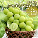 ぶどう シャインマスカット 約1~3kg (2~6房前後) 長野県 長野市 豊野町産 産地直送 種なし 皮ごと ブドウ 葡萄 マスカット 旬の果物 くだもの フルーツ 信州中野 ギフト 贈り物 贈答用 国産 内容量 選べる お試し 大容量 :c126-a