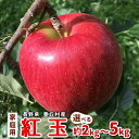 長野県 南信州 紅玉 選べる 内容量 約2kg 約3kg 約5kg 家庭用 りんご リンゴ 林檎 アップルパイ ジャム タルトタタン お菓子 ケーキ 長野県産 豊丘村 産地直送 フルーツ 果物 旬の果物 お取り寄せグルメ 食品 新鮮 旬 直送 甘い お菓子作り 国産 ジューシー :c175