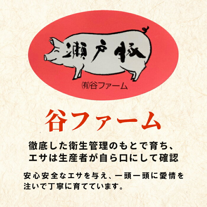 【最大500円OFF！お買い物マラソン限定】国産 瀬戸豚 豚肉 3種類 セット 冷凍 小分...