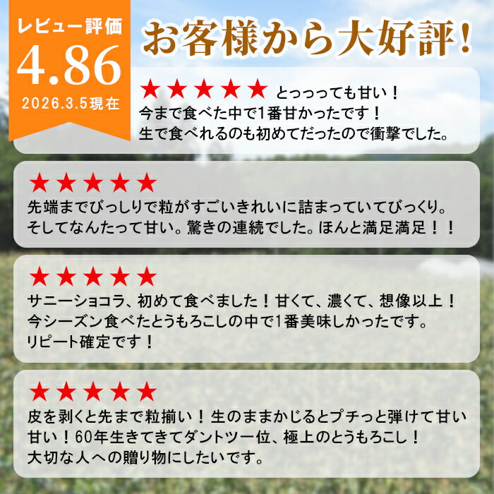 【予約商品】R8年産 とうもろこし サニーショコラ 10本 約3.5kg おためし お試し 長野県 南信州産 お得 評価★4.87！生で食べられる 高原とうもろこし 朝採 産地直送 新鮮 野菜 フルーツコーン 南信州 伊那谷 :c01 2
