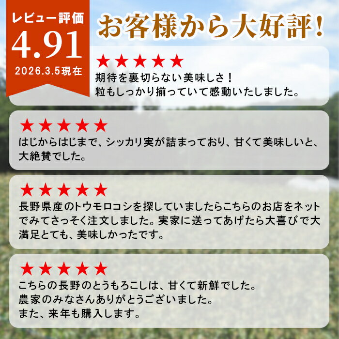 【最大500円OFF！お買い物マラソン限定】【予約商品】R8年産 とうもろこし ゴール...