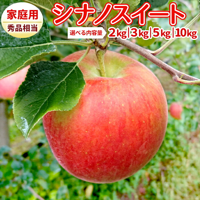 りんご シナノスイート 長野県産 秀品 自家用秀品 選べる 内容量 約2kg 約3kg 約5kg 約10kg リンゴ 林檎 アップル 豊丘村 新品種 産地直送 夏りんご フルーツ 果物 お取り寄せ ：c109-a