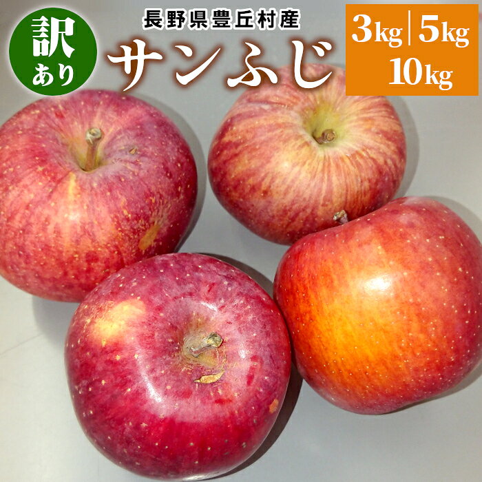 りんご 長野県産 サンふじ 訳あり 約3kg 約5kg 約10kg 選べる内容量 りんご リンゴ 林檎 豊丘村 新品種 産地直送 ふじ フルーツ 果物 旬の果物 ワケアリ 家庭用 規格外 お菓子作り ご自宅用 ：c180