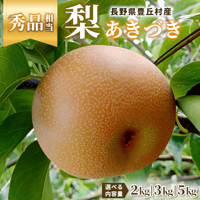 楽天市場】秋月 梨の通販