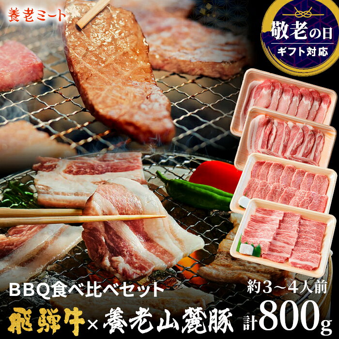 飛騨牛＆養老山麓豚 BBQセット 800g 3～4人前 霜降り 肉 牛肉 豚肉 お肉 和牛 焼肉用 焼肉用牛肉 牛丼 焼肉 BBQ ギフト 内祝い お礼 誕生日 プレゼント お取り寄せグルメ 食べ物 贈答用 贈答 熨斗 敬老の日 送料無料 飛騨牛販売指定店 養老ミート ：n15