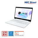 【Web限定モデル】NECノートパソコンLAVIE Direct NS(Pentium搭載・256GB SSD・カームホワイト)(Office Home & Business 2019・1年保証）(Windows 10 Home)