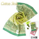 y|Cg10{10%OFFN[|z { K[[n100% RbgXg[ EUVPAHtSilk Road ClubuTE O ^Cvs(35~120cm )uO[/sNv