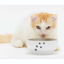 猫壱公式 猫用 脚なしフードボウル 食器 えさいれ 餌入れごはんさら ご飯皿 食べやすいさら 陶器 レンジ 猫 ネコ ねこ 猫用品 ねこいち