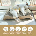 猫壱公式 バリバリベッド 猫爪研ぎ 爪研ぎ 猫爪とぎ つめとぎ 段ボール ダンボール 猫ベッド 猫つめとぎ人気 猫 ネコ ねこ 猫用品 ねこいち
