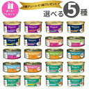 【セール!最大1,000円OFFクーポン!5/9 20:00〜】 【選べる5種+1個プレゼント】 アタス キャット アタスキャット AatasCat ウェットフ...