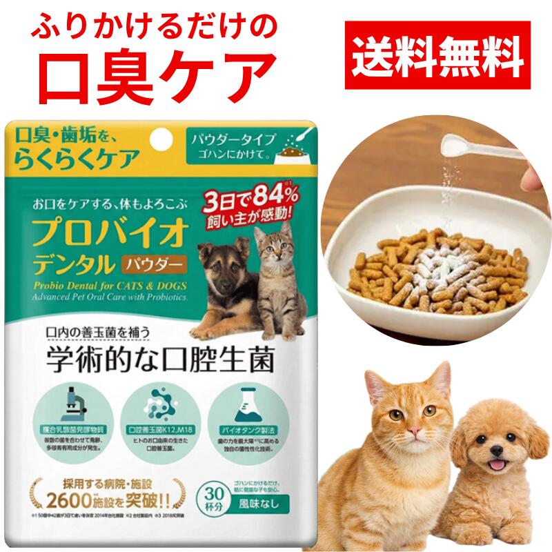 楽天市場】デンタル パウダーの通販