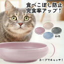 【GW限定クーポンあり!】 猫 フードボウル 食べやすい 早食い防止 陶器 餌皿 猫用食器 日本製 おしゃれ 可愛い
