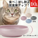 猫 フードボウル 食べやすい 早食い防止 陶器 餌皿 猫用食器 日本製 おしゃれ 可愛い