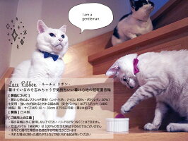 製品について使用上の注意
