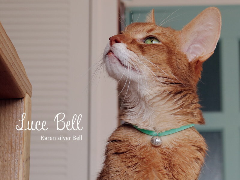 【送料無料】 necono 猫 首輪 『 Luce Bell 』 ルーチェ ベル ラタン ボール 子猫 おしゃれ 鈴 安全 10-30cm サイズ調整 軽量 銀 ピンク 全8色 日本製 猫用品