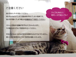 ご注意くださいベンガルワインリボン