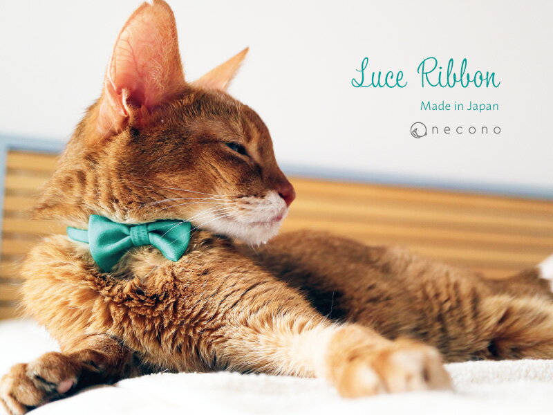 【送料無料】 necono 猫 首輪 『 Luce Ribbon 』 ルーチェリボン 子猫 おしゃれ リボン 安全 10-30cm サイズ調整 軽量 赤 全10色 日本製 猫用品 ペット用品